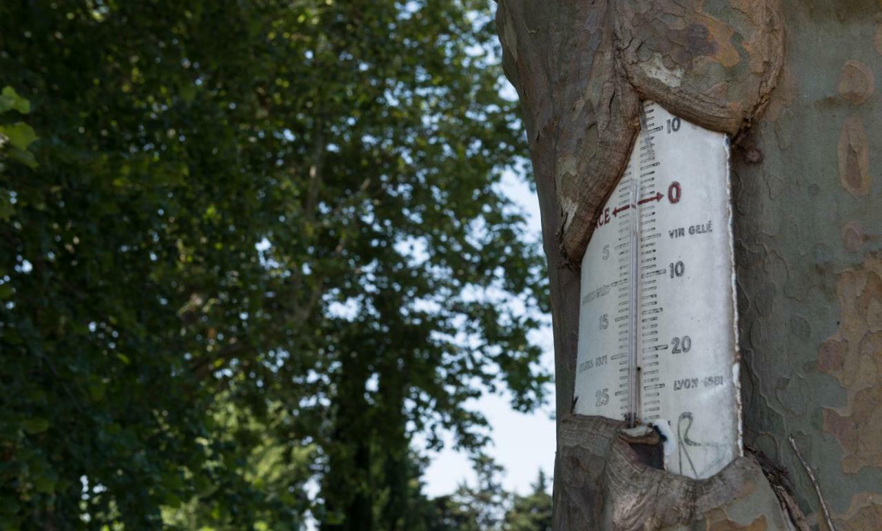 Domaine De Fontbelle Panzió Graveson Kültér fotó